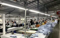 Kinh tế khởi sắc, thu ngân sách cao hơn 5% so với cùng kỳ