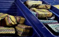 Hải quân Mexico rượt đuổi thuyền buôn ma túy trên biển
