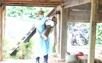 Tăng cường các biện pháp phòng chống để giảm gánh nặng và tử vong do sốt rét