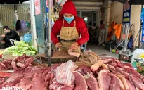Vì sao giá lợn hơi tăng cao, tiến sát 60.000 đồng/kg?