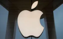 Apple sử dụng gần 20% vật liệu tái chế trong các mẫu iPhone
