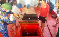 Phát hiện tàu chở 20.000 lít dầu DO không hóa đơn, chứng từ