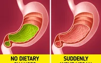 Điều gì có thể xảy ra nếu bạn ngừng ăn thịt hoàn toàn?