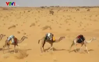 Mauritania - quốc gia Tây Bắc châu Phi đầu tư mạnh vào năng lượng tái tạo
