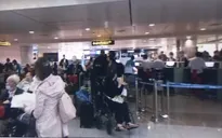 Mất hàng tiếng đồng hồ để khai báo y tế tại sân bay Tân Sơn Nhất