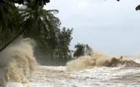 Hội nghị toàn quốc về phòng, chống thiên tai và tìm kiếm cứu nạn
