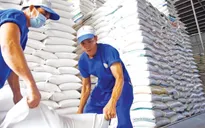 Xuất khẩu gạo có thể đạt 7 triệu tấn