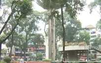 TP.Hồ Chí Minh chỉnh trang đô thị Hồ Con Rùa