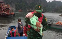 Bé gái 1 tuổi được cứu sống sau gần 1 tiếng rơi xuống biển ở Quảng Ninh