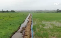 Lãng phí sử dụng đất nông nghiệp: Chuyện ở nhiều địa phương