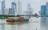 Nhiều doanh nghiệp kiến nghị lùi thời gian thu phí cảng biển