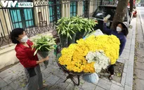 Hà Nội: Hoa loa kèn xuống phố, báo hiệu mùa hè sắp tới