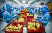 Veggie, fruit exports changing markets