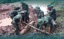 Ngày Thế giới phòng chống bom mìn 4/4: Việt Nam nỗ lực thúc đẩy khắc phục hậu quả bom mìn
