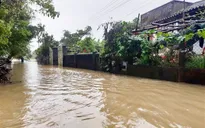 Các tỉnh miền Trung khắc phục thiệt hại do mưa lũ