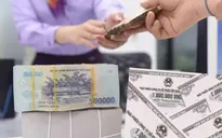 Ngân hàng không đầu tư, mua bán trái phiếu Tập đoàn Tân Hoàng Minh