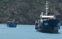 Cứu nạn thành công tàu cá Ninh Thuận cùng 3 ngư dân gặp nạn