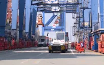 Doanh nghiệp xuất nhập khẩu đuối sức vì phí cảng biển