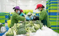Trung Quốc hỗ trợ doanh nghiệp vượt qua giai đoạn phong tỏa