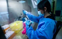 Hai dòng phụ mới của Omicron có thể lẩn trốn hệ miễn dịch