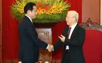 Thúc đẩy giao lưu, gặp gỡ cấp cao Việt Nam - Nhật Bản