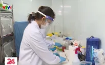 Dự án nuôi muỗi Wolbachia phòng sốt xuất huyết được triển khai thế nào?