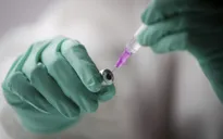 Quốc hội Nhật Bản thông qua dự luật về cấp phép khẩn cấp vaccine