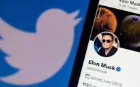 Elon Musk tạm dừng mua Twitter