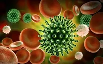 Các nhà khoa học Bỉ khám phá ra cách ngăn ngừa virus SARS-CoV-2