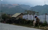 Lê Cát Trọng Lý kết thúc đêm diễn ở Hà Nội: Mong những giai điệu Việt đẹp khiến mọi người nhích lại gần nhau