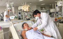 Nhập viện nguy kịch do bị ong vò vẽ đốt hơn 100 vết