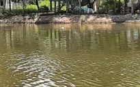 Điều tra vụ vợ giết chồng rồi dìm thi thể dưới ao