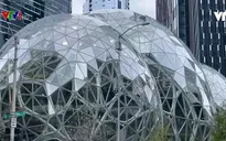 Khám phá trụ sở chính của Amazon tại Mỹ