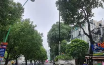 TP Hồ Chí Minh có thêm 10 ha công viên trong năm nay