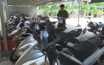 Bắt băng trộm nhí chuyên trộm cắp xe máy