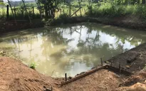 Bình Phước: 3 cháu bé bị đuối nước thương tâm dưới ao