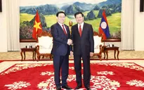 Chủ tịch Quốc hội Vương Đình Huệ chào xã giao Tổng Bí thư, Chủ tịch nước Lào