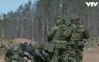 Estonia tập trận quân sự chung với Mỹ