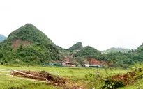 Liên tiếp xuất hiện "hố tử thần" ở Nghệ An