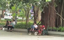 Cấm mang vật nuôi, loa kéo vào phố đi bộ Hồ Hoàn Kiếm: Nhiều người dân đồng tình