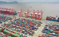 Cảng Thượng Hải trước nguy cơ tàu và hàng bị ùn tắc chưa từng có