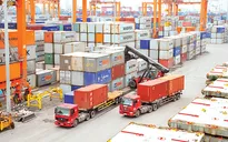 Xuất khẩu hàng hóa sang 5 châu lục tăng trưởng cao