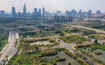 Tài khoản bằng... 0 tham gia đấu thầu bất động sản