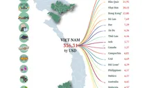 [INFOGRAPHIC] Việt Nam đa dạng hóa thị trường xuất khẩu