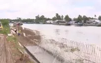 Cần Thơ: Triển khai nhiều công trình phòng chống sạt lở