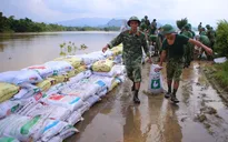 Hà Nội: Mưa lớn gây úng ngập hơn 4.040 ha lúa, rau màu