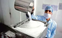Ấn Độ cân nhắc hạn chế xuất khẩu đường