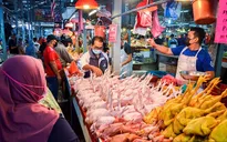 Singapore gặp khó khi Malaysia cấm xuất khẩu thịt gà