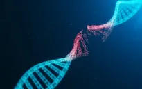 Israel phát hiện cơ chế đột biến gene gây bệnh tự kỷ