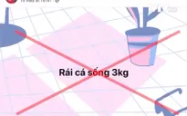 Các loài động vật hoang dã được rao bán tràn lan trên mạng xã hội